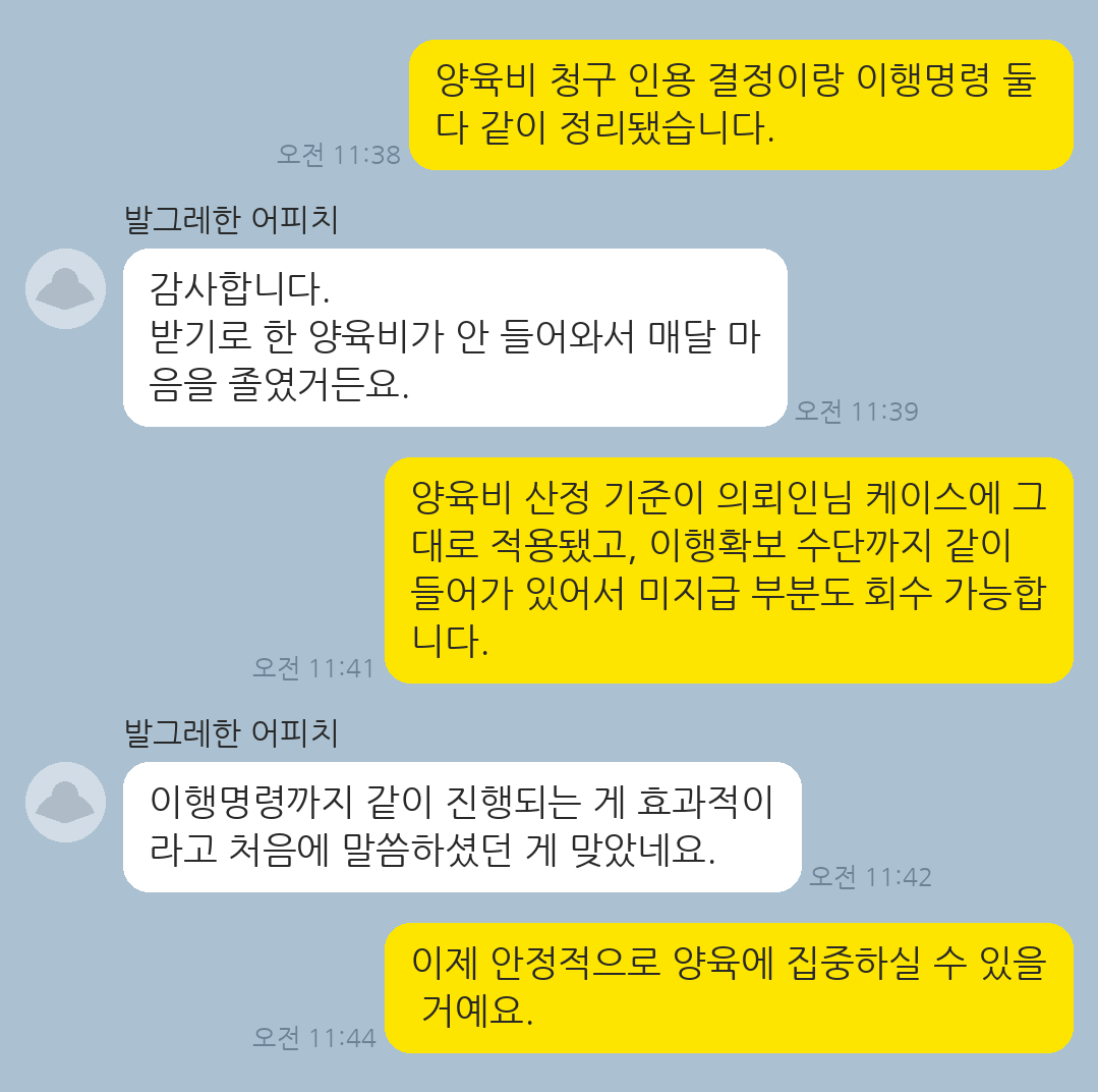 양육비 지급을 회피하는 상대방에 대해 청구와 이행확보까지 동시에 진행한 의뢰인